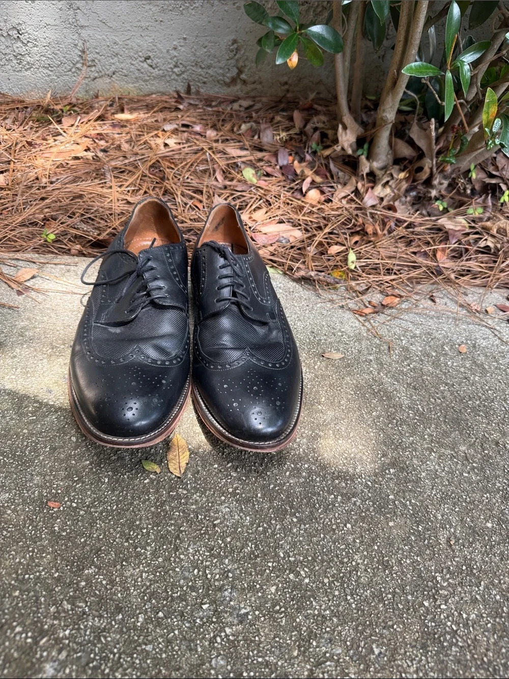 Johnston & Murphy Black Leather Wingtip Oxfords with Brown Sole